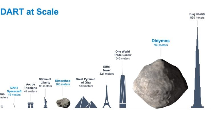 Infografis yang menunjukkan ukuran dua asteroid dalam sistem Didymos relatif terhadap beberapa objek di Bumi. (NASA/Johns Hopkins APL)