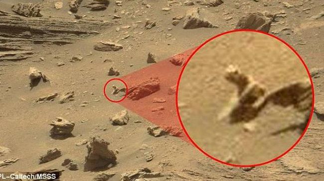 Viral Bayangan Alien Tertangkap Satelit Google, Begini Tampangnya