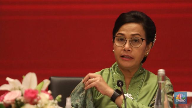Sri Mulyani Diam-diam Bikin Marketplace Digipay, Apa Itu?
