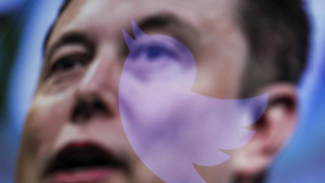 Perhatian Capres Caleg 2024, Ada Kabar Baik dari Elon Musk