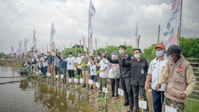 Tekan Krisis Iklim, Telkom Punya Program Ramah Lingkungan
