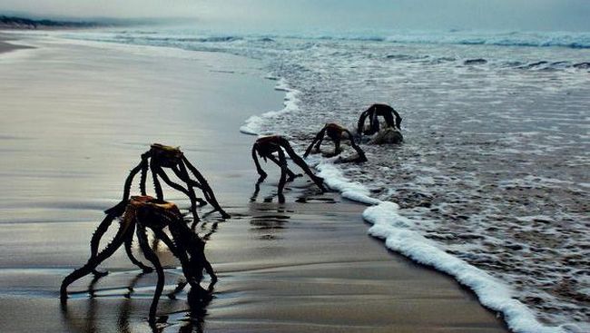 Ada Tanda-Tanda Alien Ditemukan di Luar Bumi, Peneliti Bilang Begini