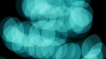 Apa Itu Efek Bokeh dan Cara Setel Pakai Kamera HP