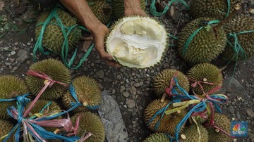 Awas! 7 Makanan Ini Terlarang Bagi Penderita Asam Urat