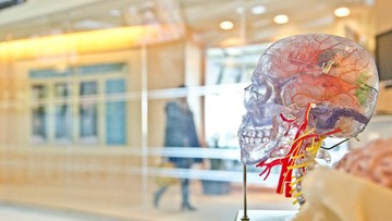 Bener Nggak Sih Stres Bisa Memicu Stroke? Ini Kata Dokter…