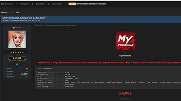‘Bos’ Bjorka Ditangkap FBI, Hacker Lain Muncul Jadi Bandar