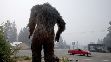 Fakta di Balik Video Bigfoot Akhirnya Terungkap!