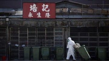 Flu Burung Picu Kasus Kematian Manusia Pertama, Ini Gejalanya