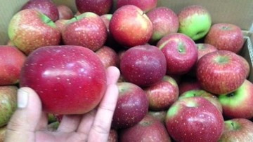 Waspada Kolesterol Jelang Lebaran, Cegah dengan 5 Buah Ini