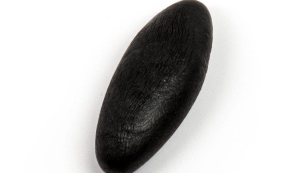 Disebut ‘Cairan Kehidupan’, Ini Sains di Balik Shilajit