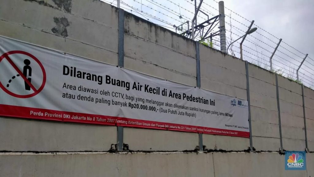 Pria Jerman Jarang Kencing Berdiri, Ada Alasan Kesehatannya