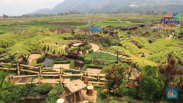 Wisata Mandi Bikin RI Kebanjiran Turis Eropa, Kok Bisa?