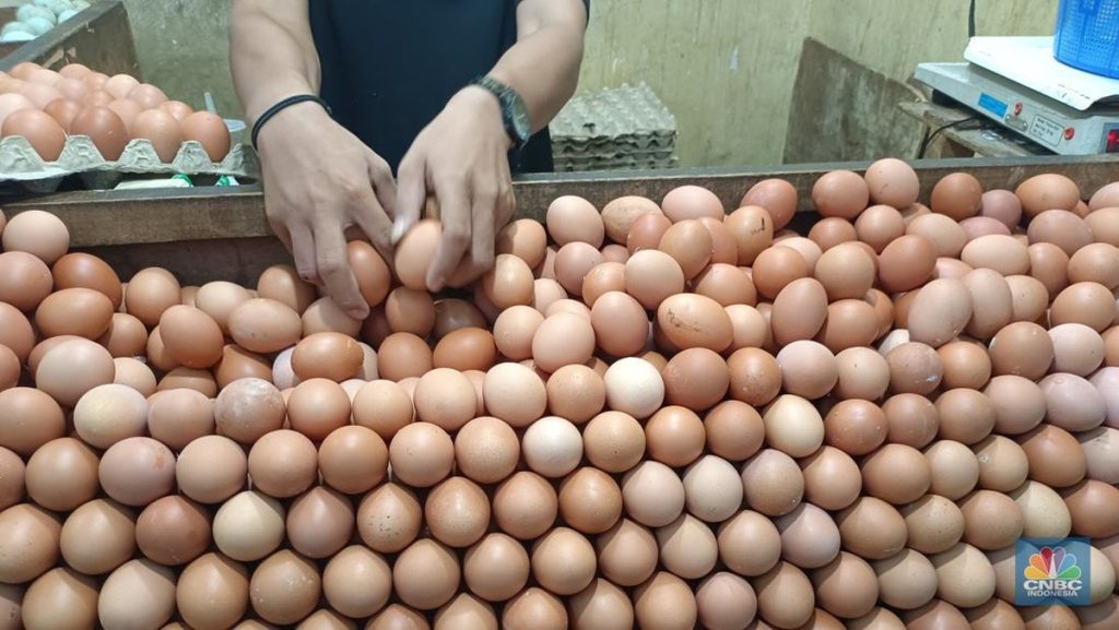 4 Manfaat Kesehatan Telur Rebus yang Jarang Diketahui
