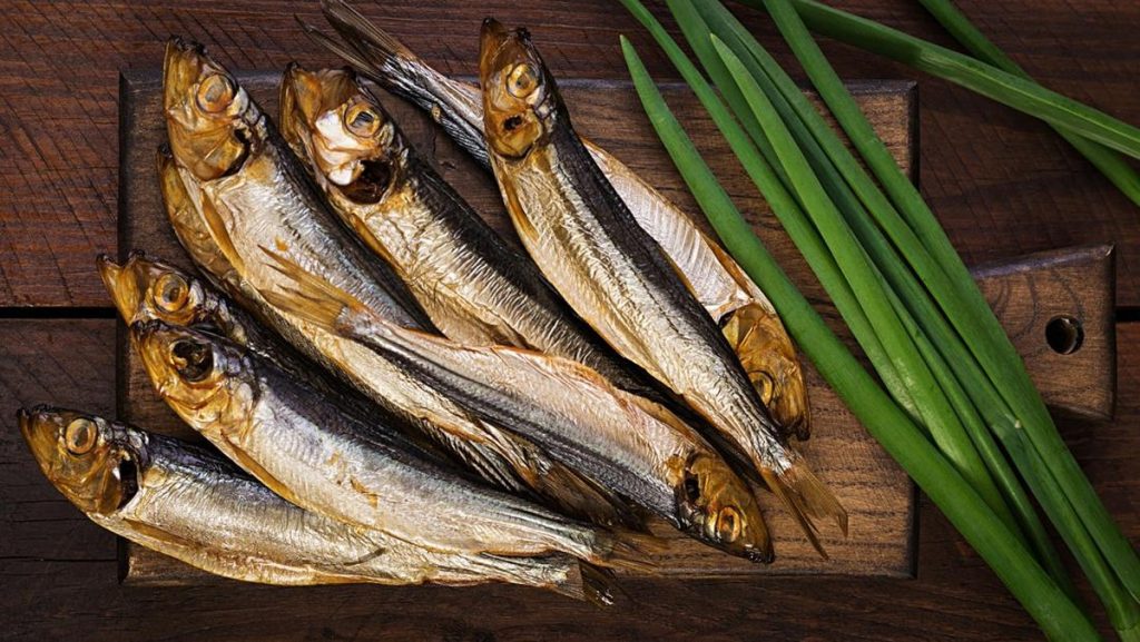 Heboh Shishamo, Ikan Sultan Super Mahal Kesukaan Raffi Ahmad