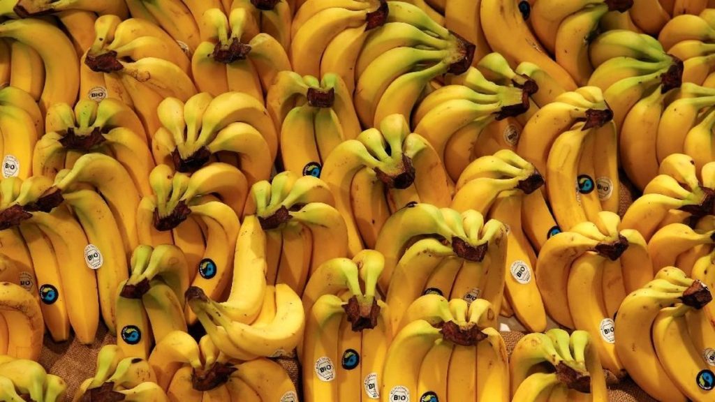 Jenis Pisang Terbaik dan Terburuk Dikonsumsi untuk Diet