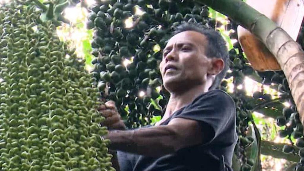 Kisah Nyoman, Adik Berbakti Temani Kakak Alami Disabilitas