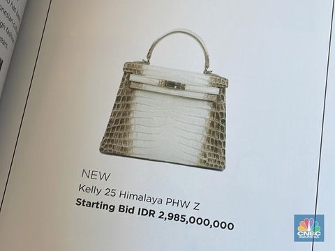 Potret Tas Langka Hermes Himalaya, Harga Nyaris Rp3 Miliar!