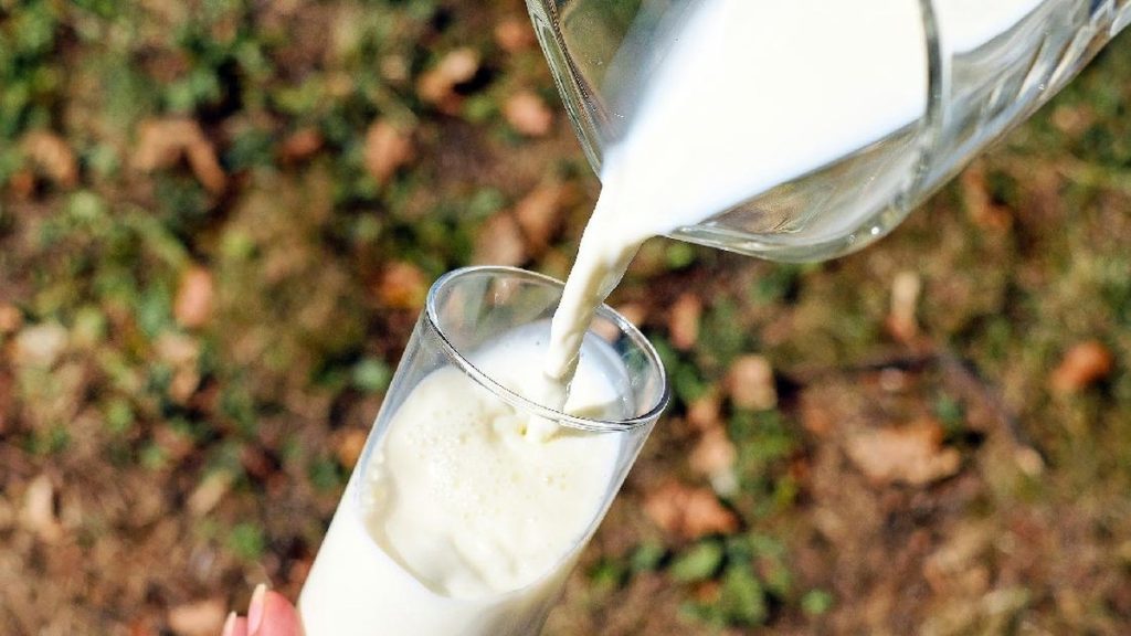 Susu dan Air Kelapa Bisa Atasi Keracunan, Mitos atau Fakta?