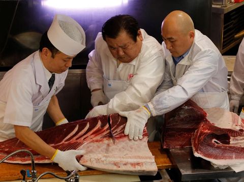Alasan Tuna Jepang Harganya Selangit, Bisa Tembus Miliaran!