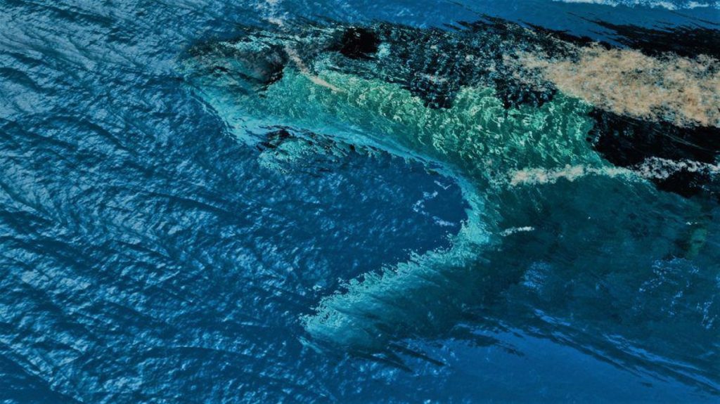 Heboh Megalodon Masih Berkeliaran di Bumi, Cek Faktanya
