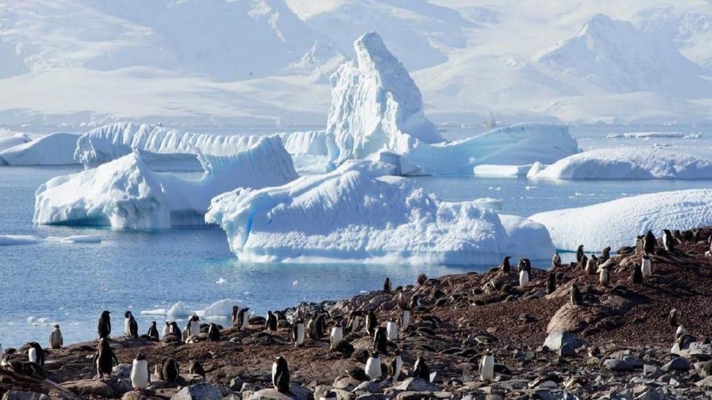 Kampung Penguin Tenggelam, Rumah Manusia Berikutnya