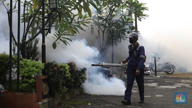 Kenali Gejala Utama DBD yang Tak Boleh Diabaikan