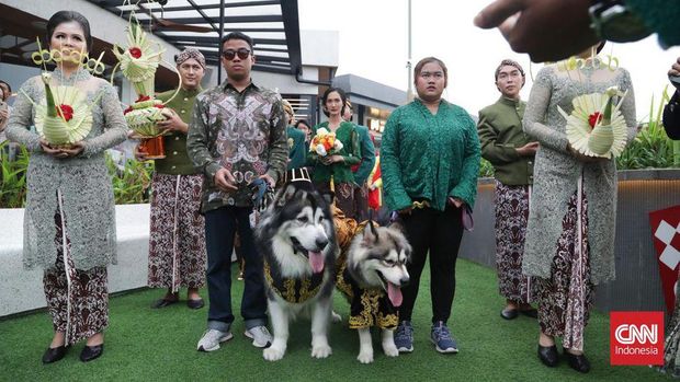 Sepasang anjing Jojo dan Luna menikah di kawasan Pantai Indah Kapuk, Jakarta, Jumat (14/7). Acara pernikahan menghabiskan duit sebesar Rp200 juta. (Dok. CNN Indonesia/Safir Makki)