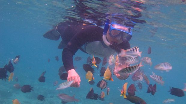 Alasan Turis Korea Mulai Tinggalkan Bali & Pindah ke Manado