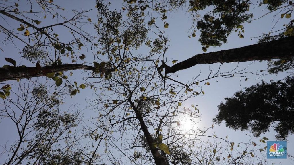 10 Wilayah Indonesia Paling Panas Mendidih, Suhu Nyaris 39 C