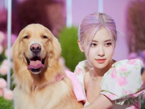 4 Fakta Nasib Kontrak BLACKPINK yang Masih Belum Jelas