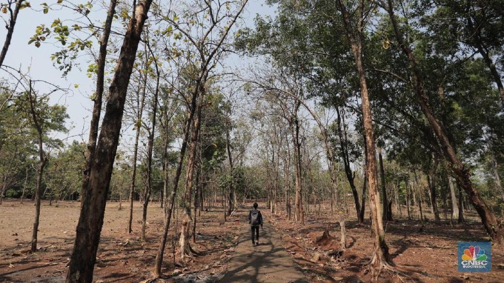 20 Kota Terpanas di Indonesia, No. 1 Nyaris Tembus 40 Celcius