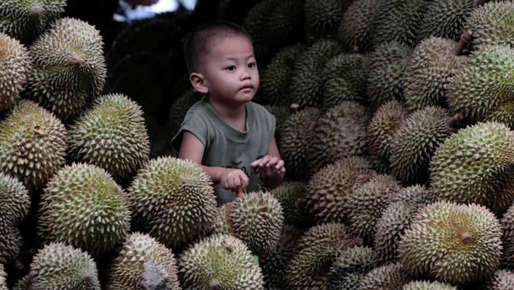 Durian Bikin Kolesterol Kamu Tinggi? Ini Penjelasannya…