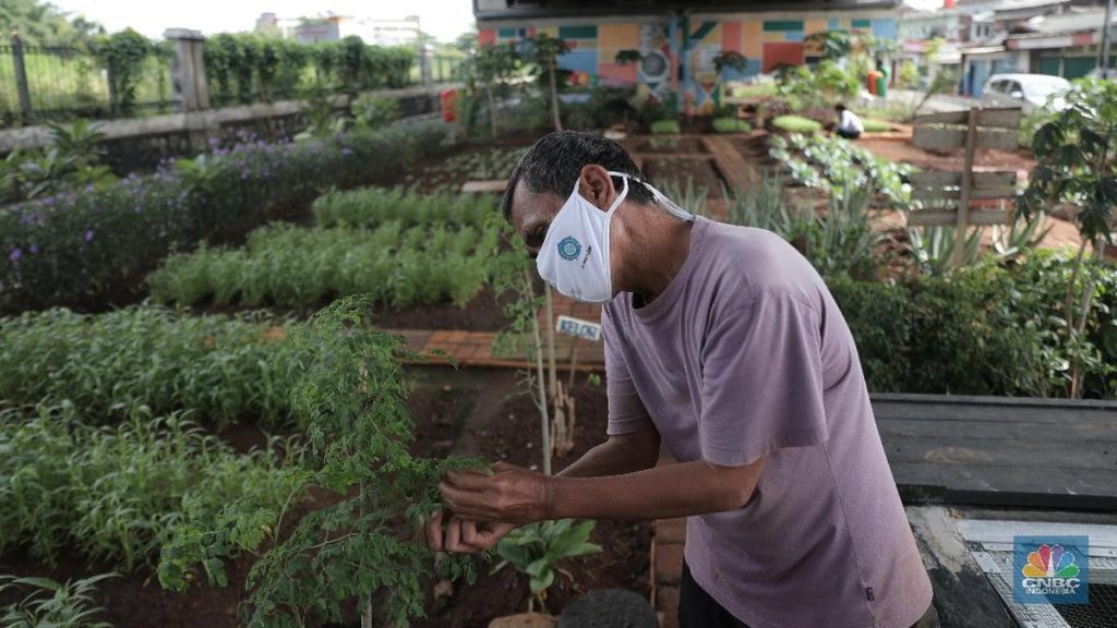 Investor Startup Cari Petani, Bukan Lulusan Kampus Terkenal