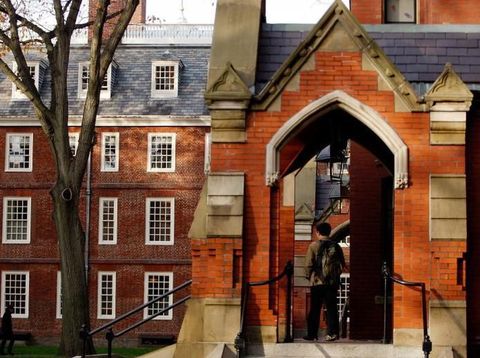 Donatur Harvard Ancam Setop Dana karena Pidato Pro Palestina
