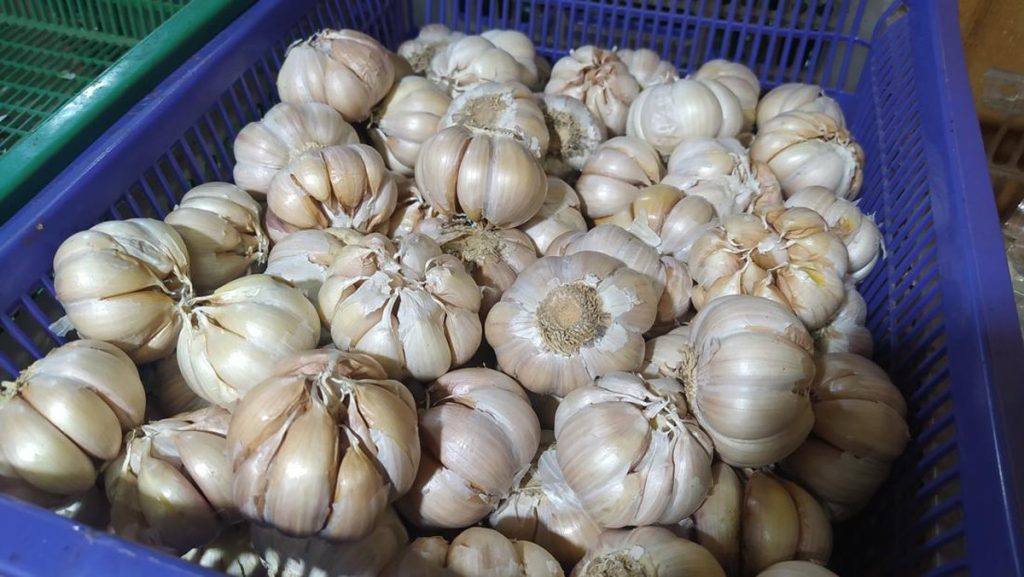 7 Rempah untuk Menurunkan Kolesterol Secara Alami, Catat Nih