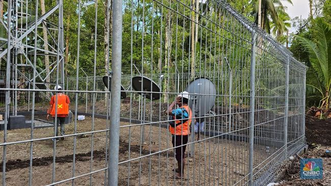 Elon Musk Boleh Masuk Papua Tapi Ada Syaratnya