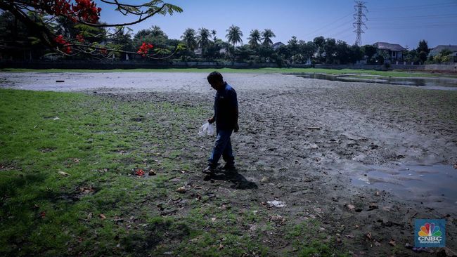 BRIN Kasih Peringatan Petaka Baru di RI Usai El Nino