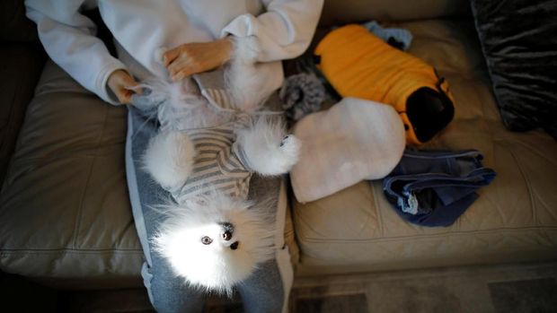Kang Sung-il, a pet funeral manager, dresses the body of a dog in a funeral clothes before its cremation at a pet funeral service company in Gwangju, South Korea, January 16, 2019. Picture taken on January 16, 2019.     REUTERS/Kim Hong-Ji     TPX IMAGES OF THE DAY
