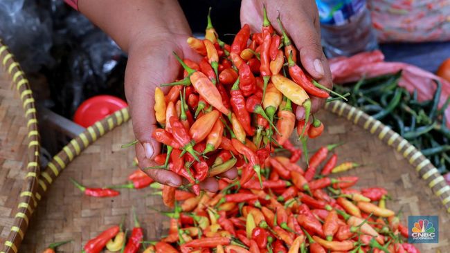 5 Manfaat Makan Pedas untuk Kesehatan, Bisa Bikin Panjang Umur