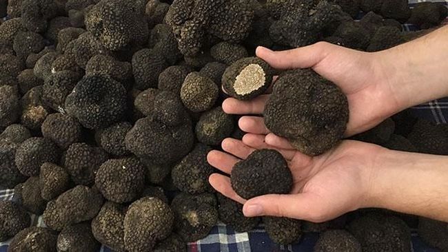 Makanan Mewah Super Mahal Ini Dulunya Cuma Jadi Pakan Babi