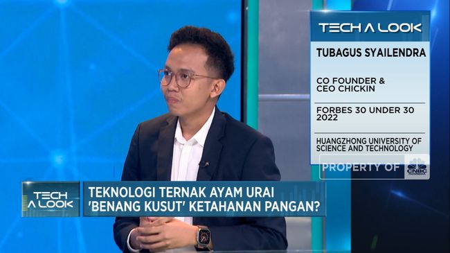 Cara Chickin Bantu Modal Peternak Ayam & Perluas Akses Pasar