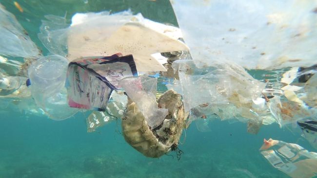5 Negara Penghasil Sampah Laut Terbesar di Dunia, RI Termasuk