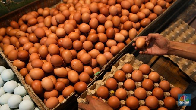 4 Manfaat Telur Rebus yang Tak Banyak Orang Sadari