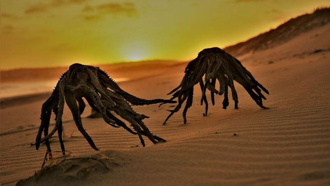 Israel Beberkan Hubungan Gelap AS dan Alien, Sebut Donald Trump