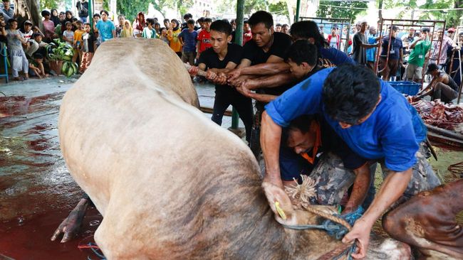 Niat Puasa Tarwiyah & Arafah Idul Adha, Serta Tata Cara-Keutamaannya