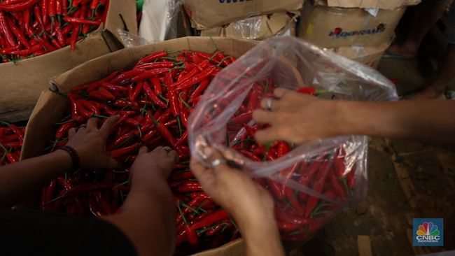 10 Cara Hilangkan Panas di Tangan Akibat Cabai