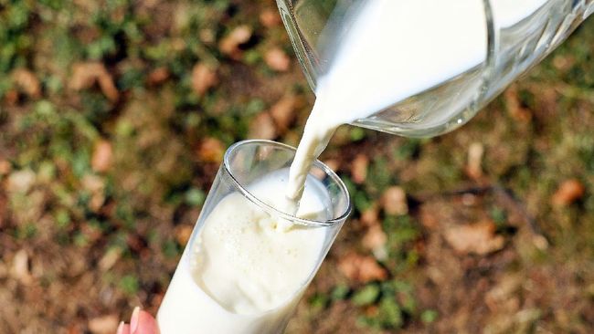 6 Jenis Makanan & Minuman yang ‘Haram’ Dikonsumsi Penderita Asam Urat