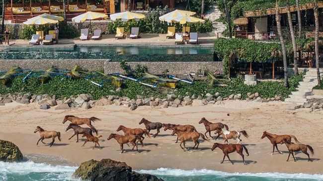 Nihi Sumba Masuk Daftar Hotel Terbaik Dunia, Berapa Harga Nginapnya?