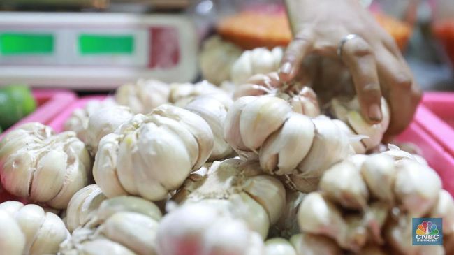 Hasil Studi, Ini Jenis & Dosis Bawang Putih Untuk Turunkan Kolesterol