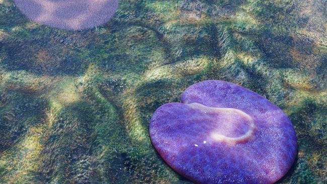 Peneliti Temukan Hewan Tertua di Dunia, Lokasinya Dekat Wilayah RI